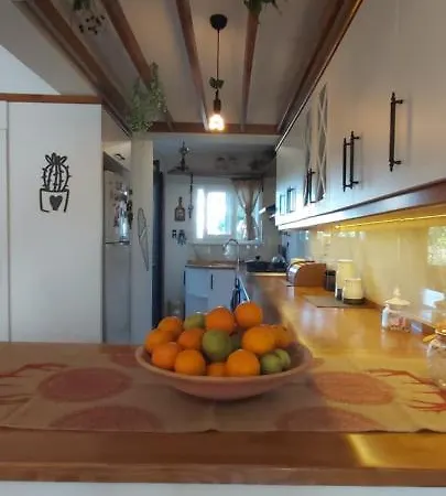 Havuzlu Bahceli Muestakil Apartment