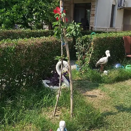 Havuzlu Bahceli Muestakil Appartement Side